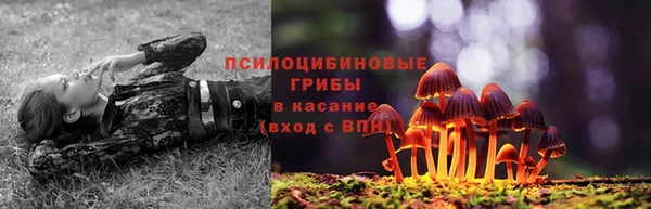 mix Армянск