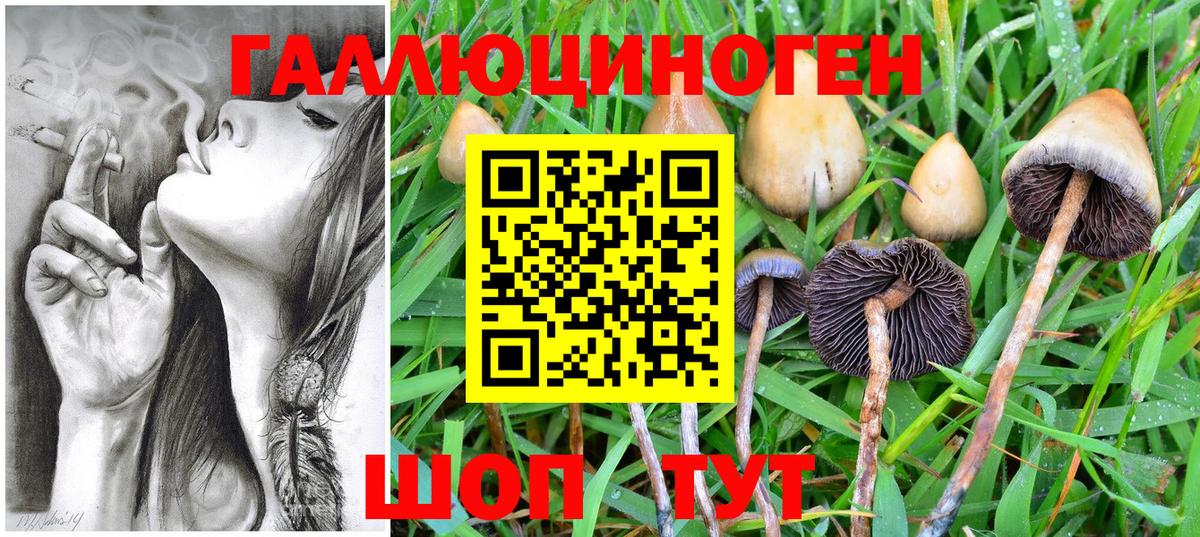 Галлюциногенные грибы ЛСД  Псилоцибиновые грибы Psilocybe  Вход с VPN  Ахтубинск 