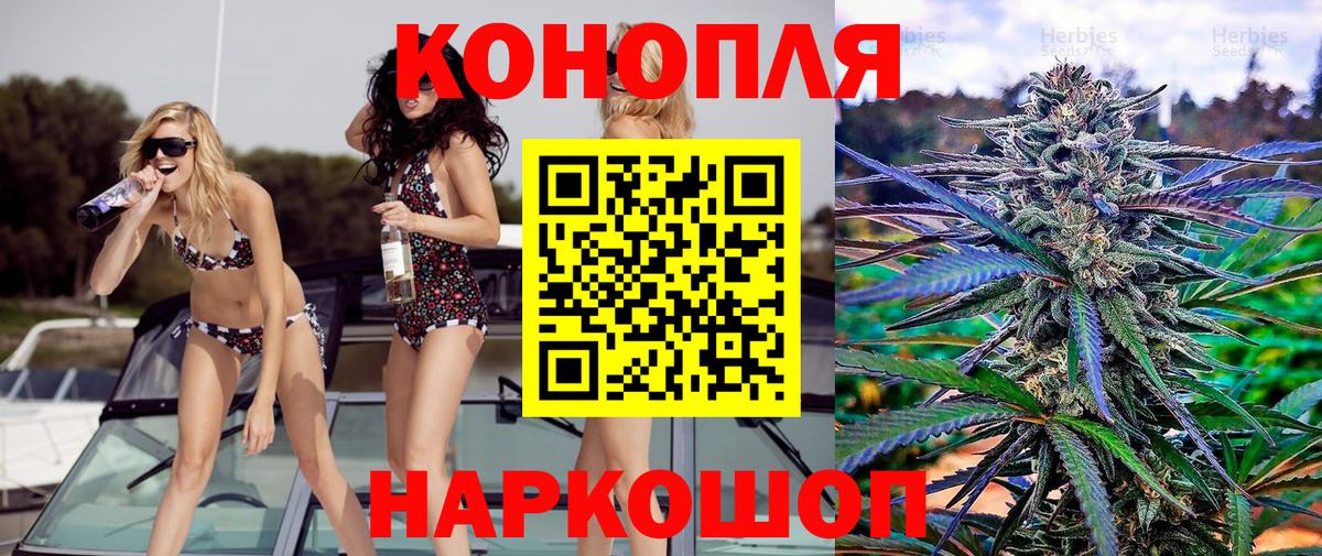 Бошки Шишки гибрид Ахтубинск